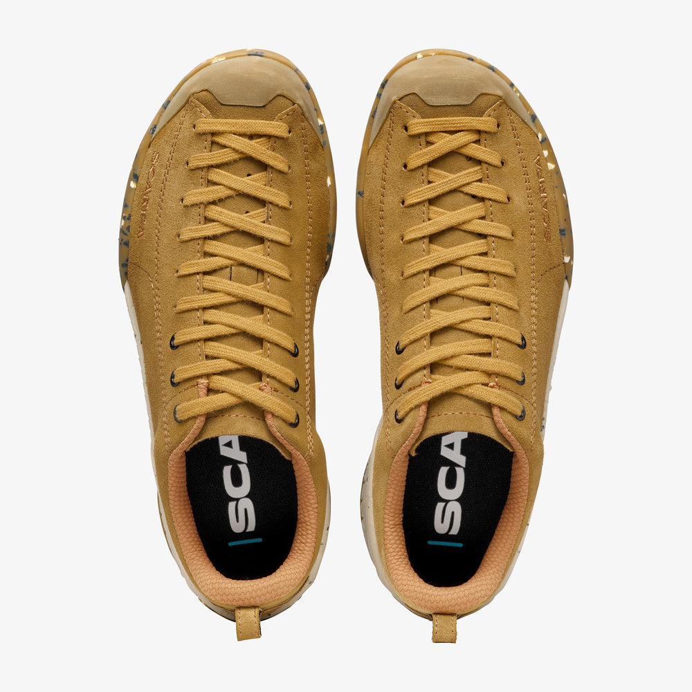 36
